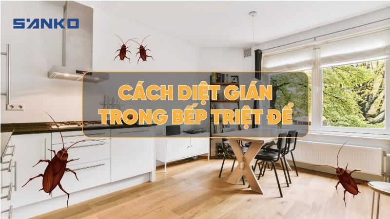 Cách Chống Gián Trong Tủ Bếp: Giữ Căn Bếp Sạch đẹp, Không Còn Nỗi Lo Gián Xâm Nhập
