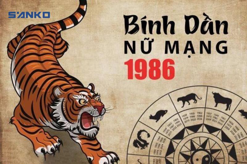 Ảnh Bài Viết