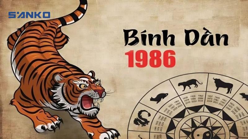 Ảnh Bài Viết